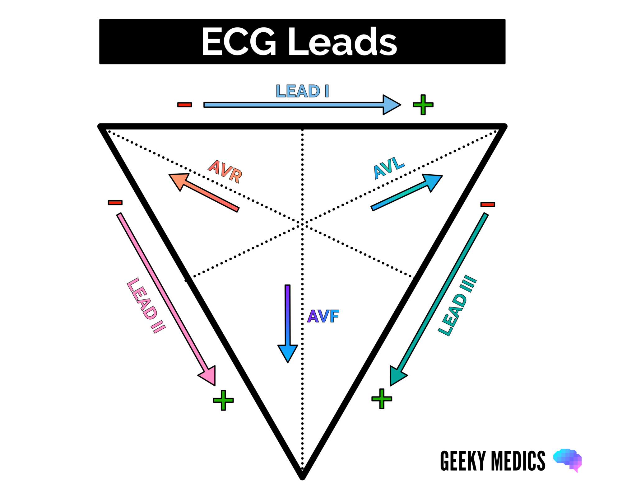 ECG Leads