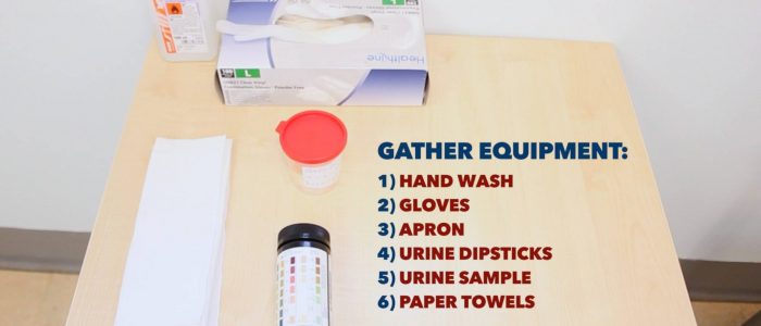 Gather urinalysis equipment