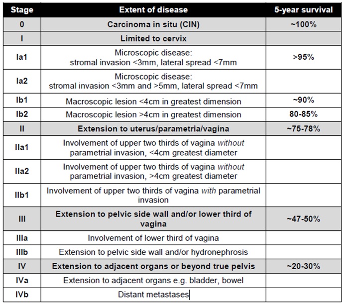 Cancer Staging Chart