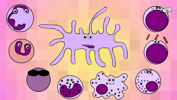 Immune Response | Immune Cell Types | Geeky Medics