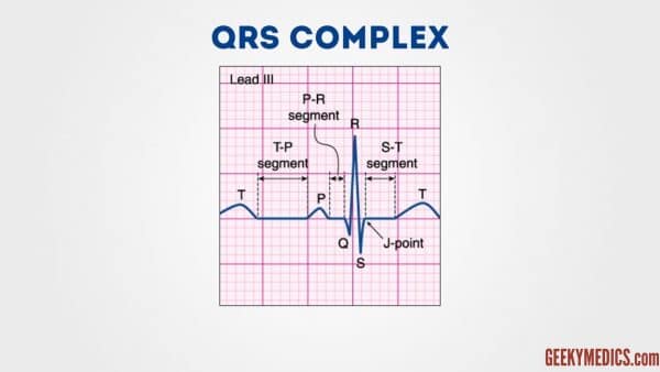 Components of the ecg