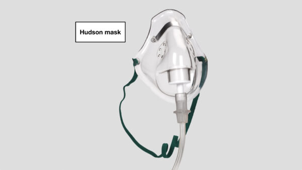 Hudson mask