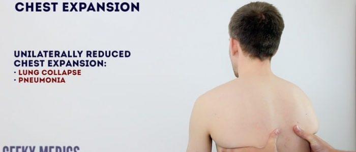 chest excursion vs chest expansion