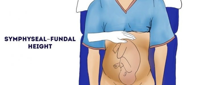 Fundal height (obstetric abdominal examination)