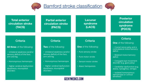 Bamford stroke classification (Oxford Stroke Classification)