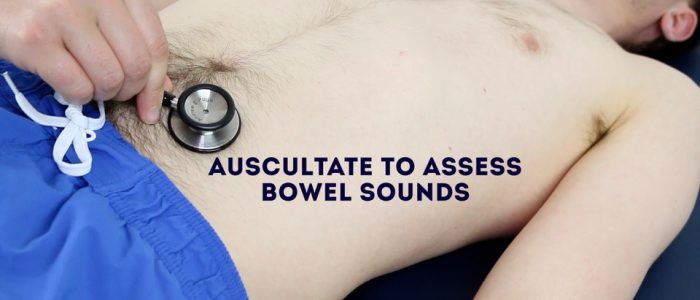 Auscultate bowel sounds
