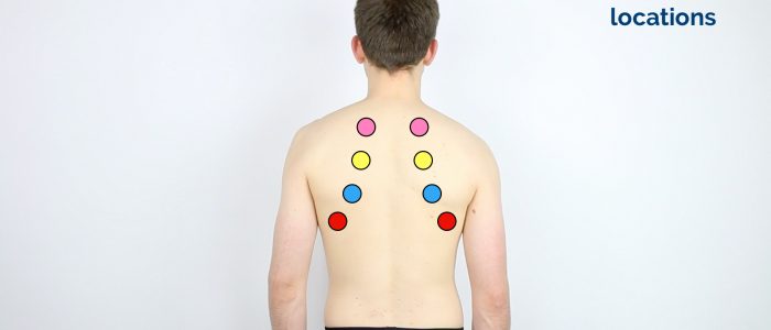 Auscultation locations on the posterior chest wall
