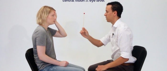 The blind spot is located just temporal to central vision at eye level