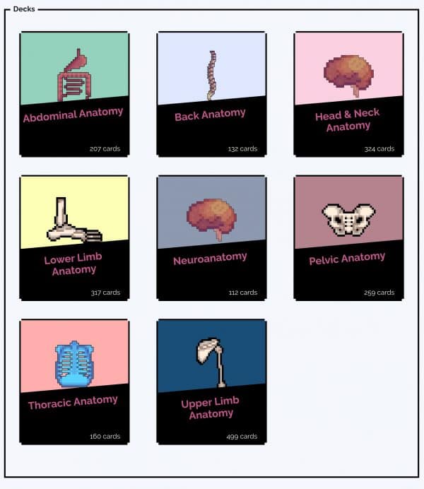 Anatomy flashcard decks