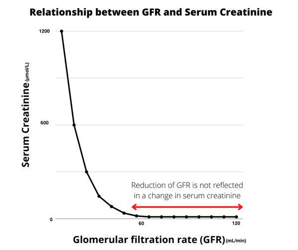 Relationship between GFR and serum creatinine