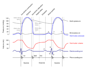 The Cardiac Cycle | Wigger’s diagram | Geeky Medics