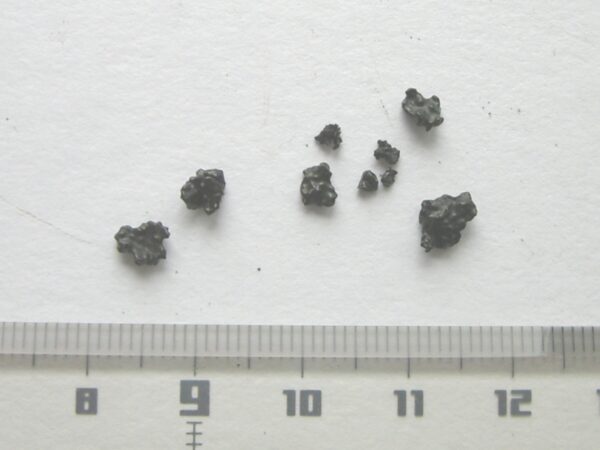 Figure 9. Black pigment stones