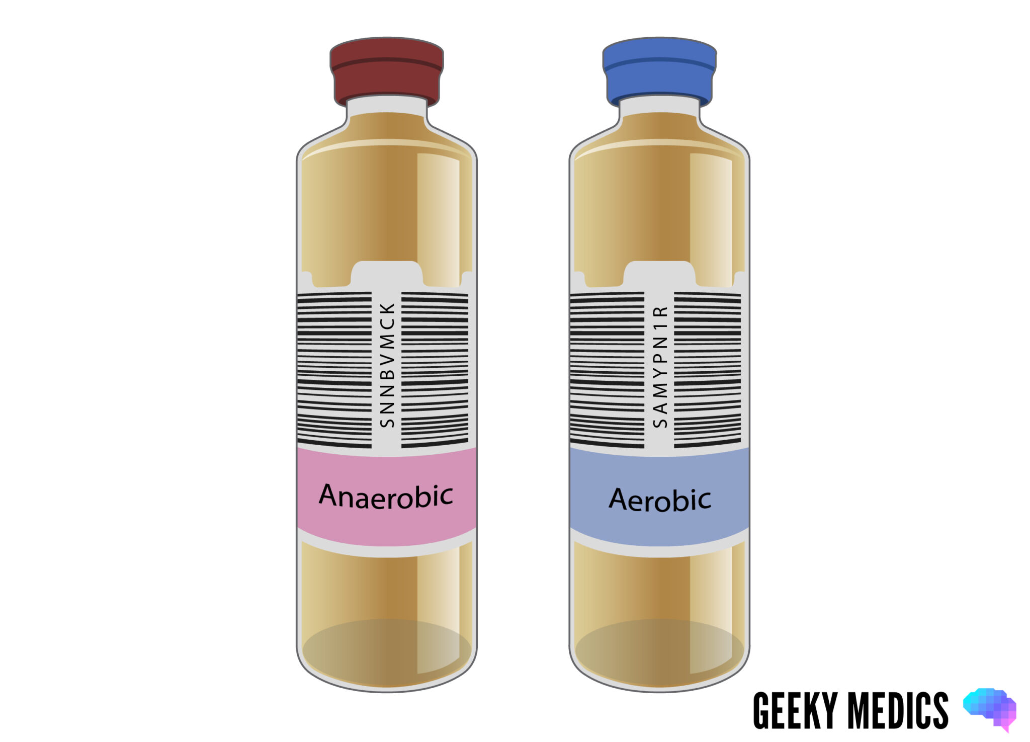 Blood culture bottles