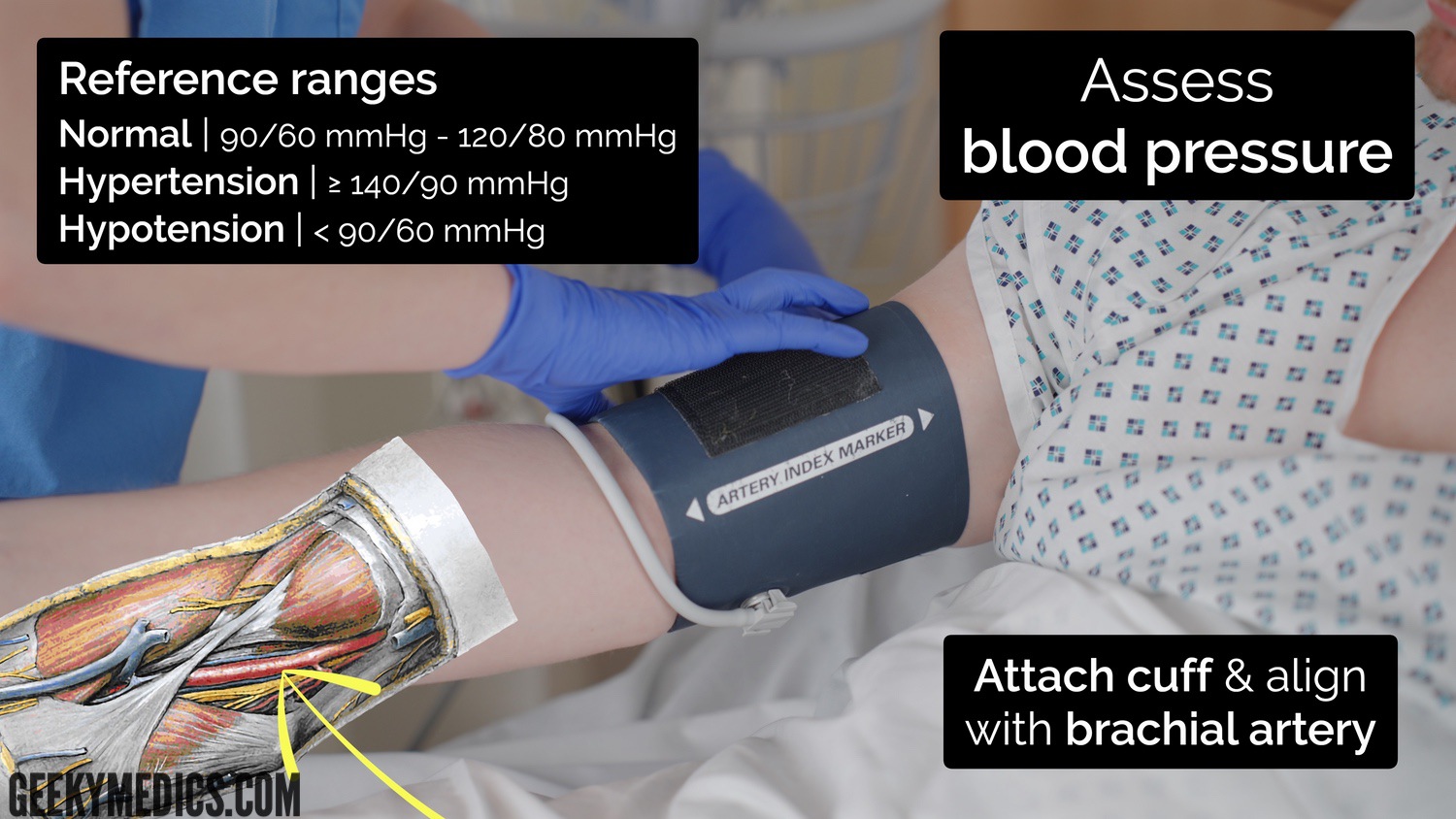 Measuring vital signs - assess blood pressure
