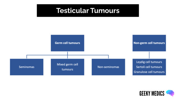 The classification of testicular tumours