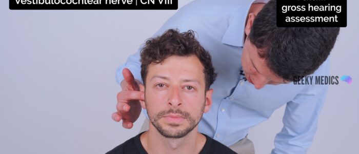 Cranial nerve exam - Perform gross hearing assessment