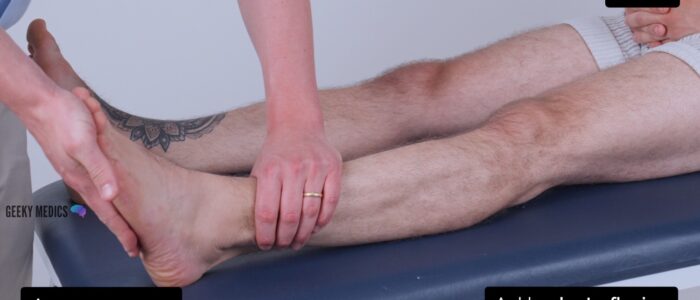 Lower limb neurological examination - Ankle plantarflexion (S1/2)
