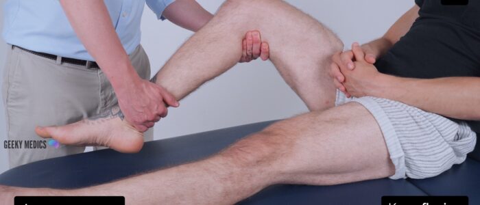 Lower limb neurological examination - Knee flexion (S1)