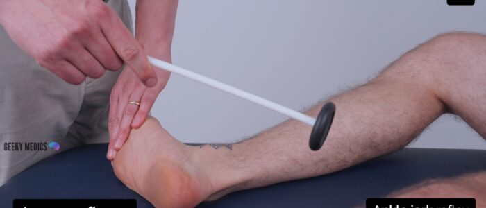 Lower limb neurological examination - Ankle-jerk reflex (S1)